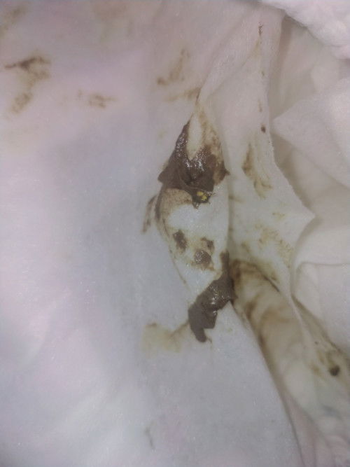 6 months old mix feeding and kakastart lang mag solid