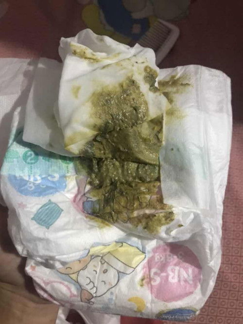 pup bayi 3bulan warna hijau