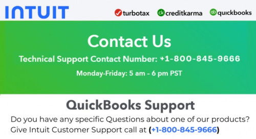QuickBooks Payroll Support: Call Our Dedicated Team Now