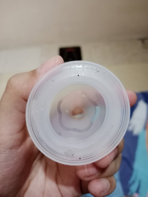 Dot bayi bintik hitam