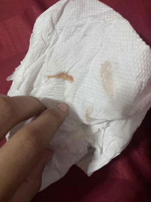 สอบถามหน่อยค่ะ