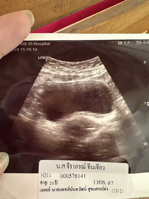 แบบนี้มีน้องมั้ยค่ะ