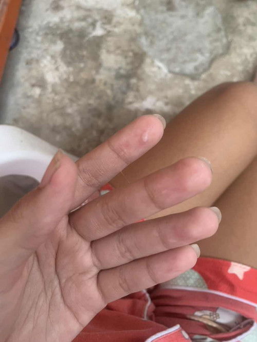 ทีมพฤศจิกายน