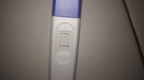 TP Garis samar sebelum haid bulan september