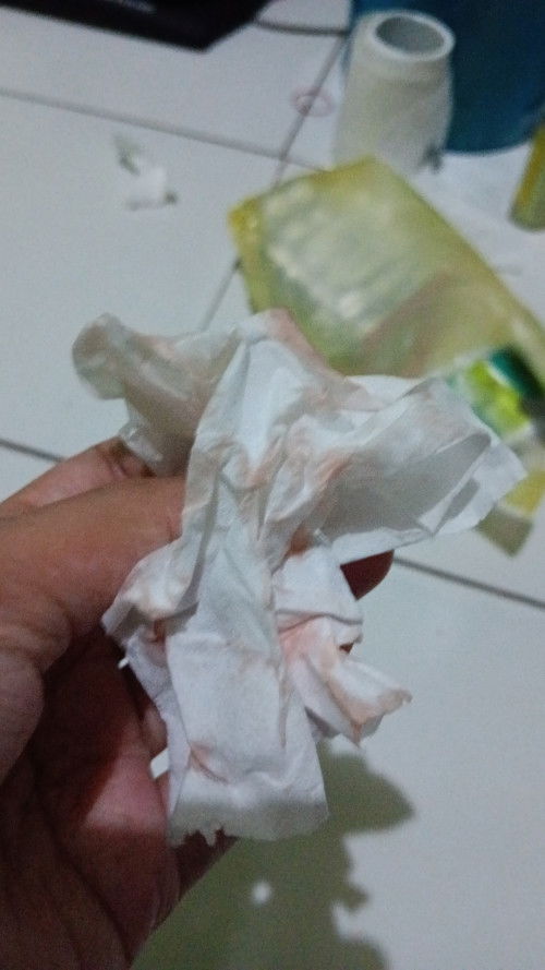 hamil anak pertama usia 16 week