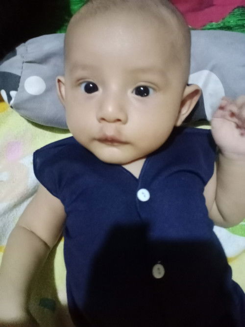 Seputar pampers bayi