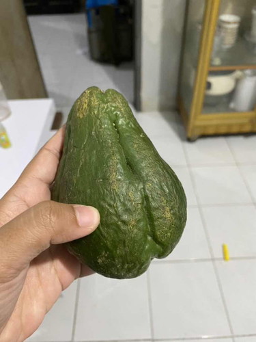 Menu mpasi