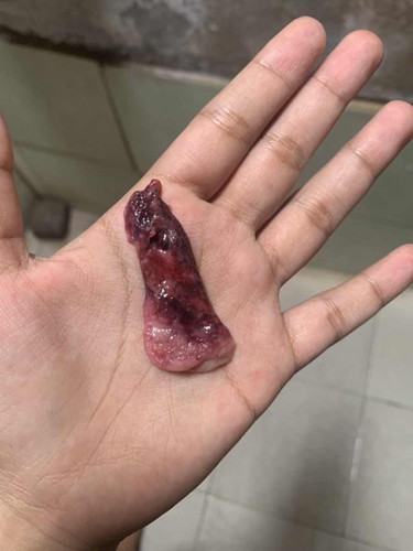 korang tolong saya, ni apa😭