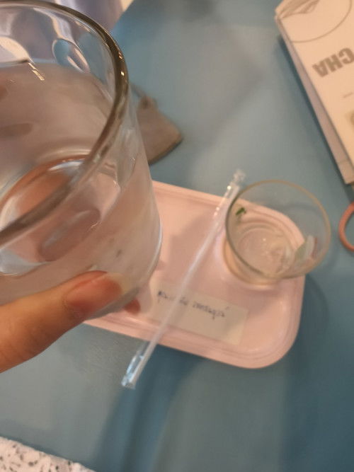 แชร์ประสบการณ์ ตรวจน้ำตาลครั้งแรกค่ะ