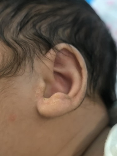 แบบนี้คืออะไรคะ