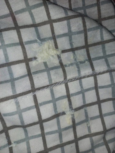 Bund bayi 3 bulan 26 hari sering gumoh kaya gini bahaya gak bund? Dan sebabnya kenapa ya?