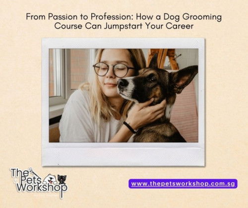 Why not make a career out of your love for animals, especially dogs, if you’ve always had it ? — The