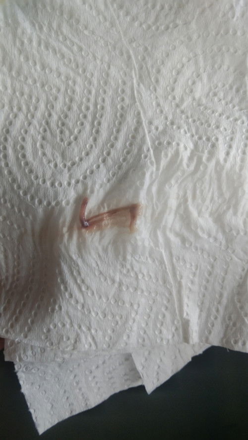 ขอสอบถามแม่ๆหน่อยค่ะ