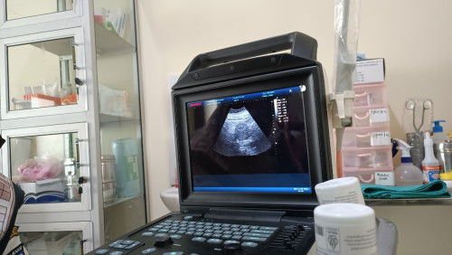 ✨✨✨✨✨✨✨✨✨✨