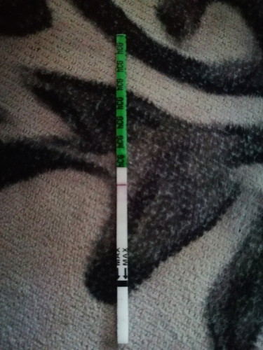 Test pregnant line kabur