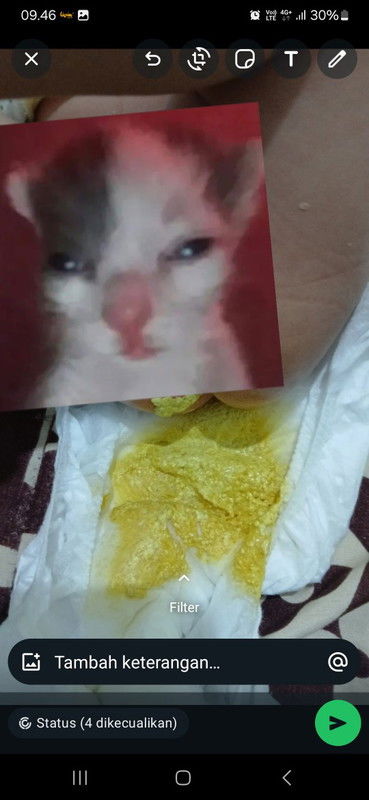 Bayi 1 bulan 11 hari