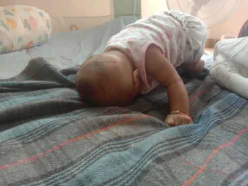 4เดือน14วัน คว่ำแล้วค่ะ