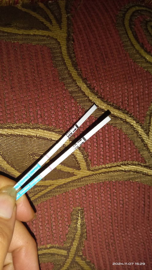 Telat haid tapi tespack garis satu?