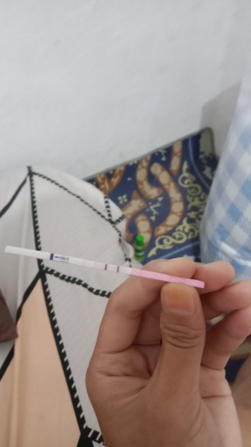 Udah telat 18hari udah d tp juga garis 2 tebel, tapi pas usg kata dokternya belum ada apa²  kenapaya