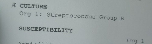 GBS + (MINTA TIPS KURANGKAN RISIKO BERANAK AWAL)