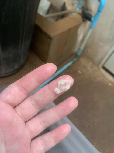 ขอสอบถามหน่อยคะ