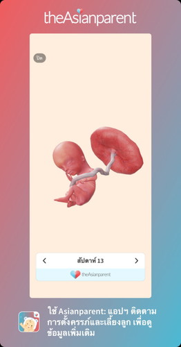 13 Week กินเยอะมากๆ