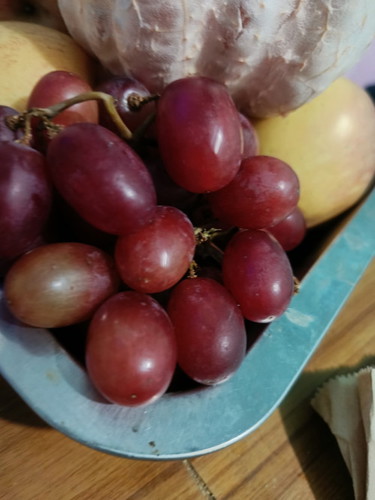 16 weeks pregnant..bawal po b Kumain Ng grapes pgbuntis?