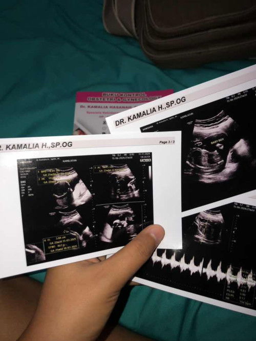 Pengganti makan berat