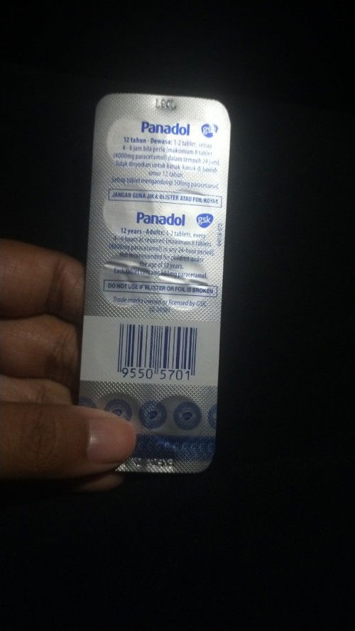 panadol biasa boleh ke mkn