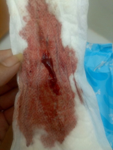 Pasintabi sa litrato na aking ibabahagi