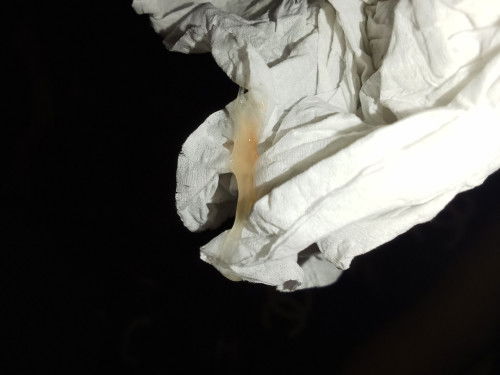 ..ขออนุญาติถามนะค่ะ 36w