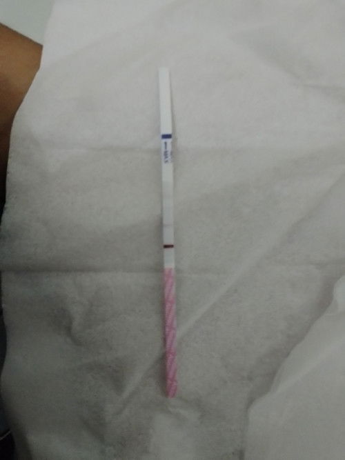 Tentang tes kehamilan