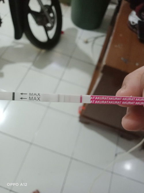 Kehamilan ngeflek tapi subuh garis 2 samar2