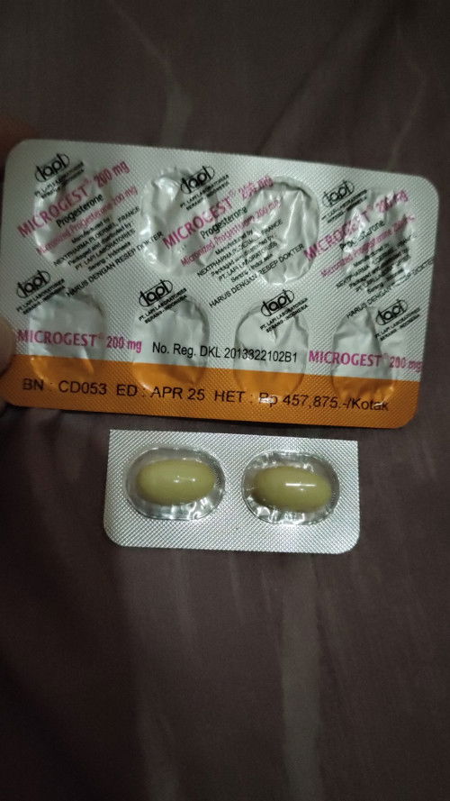 Ada yg butuh Microgest?