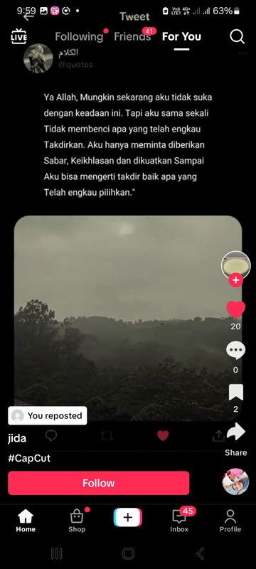 Ujian hidup yang berbeza