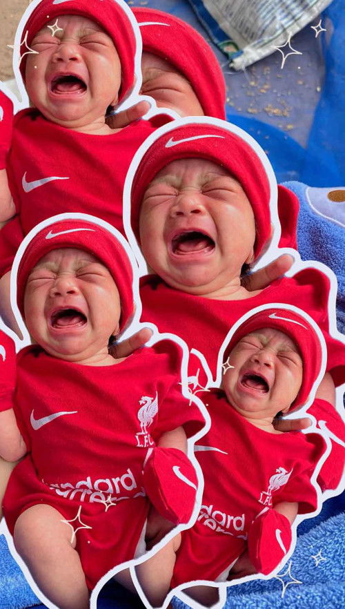 1 เดือน 8 วัน แล้วคะ 🩷