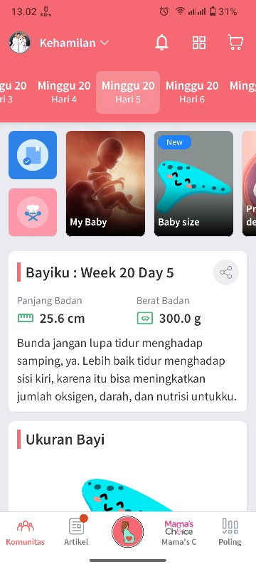 Trimester berapa?