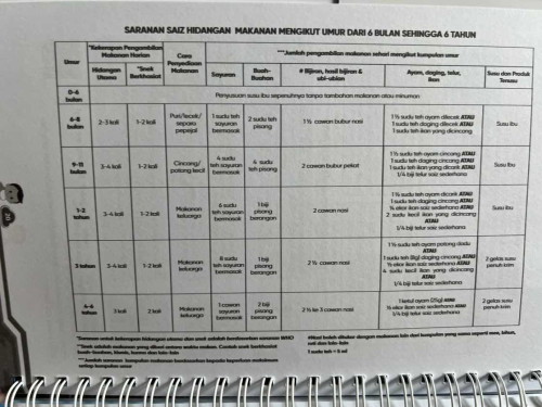 Menu makan baby