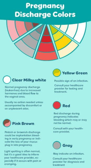 ANO MA RECOMMEND NIYO PAGKAIN O INUMIN PANLABAN SA VAGINAL INFECTIONS?