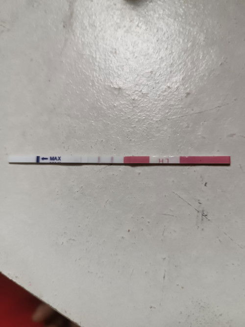 OPK NEGATIF/POSITIF??(UJIAN KESUBURAN)