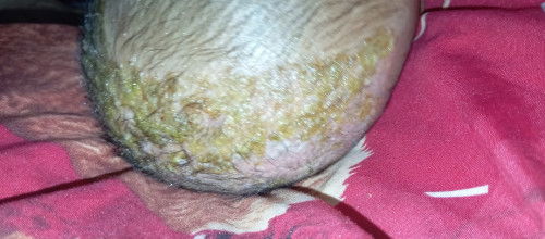 Bun mau tanya dong ??