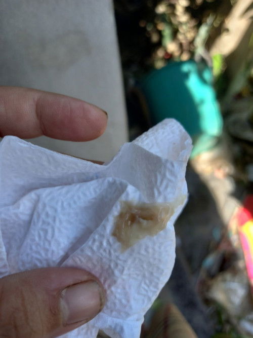 ขอสอบถามแม่ๆหน่อยคะ