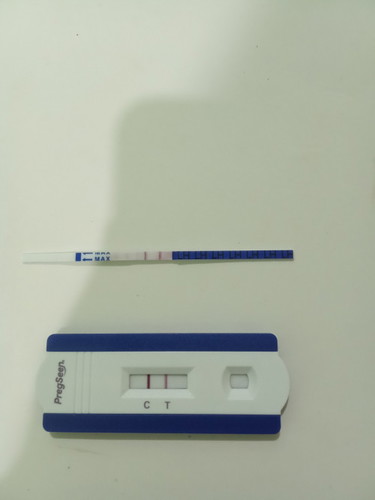 Nak kepastian dari ibu2 sahaja... Atas ovulation test bawah pregnancy test.. Apa pendapat korang??