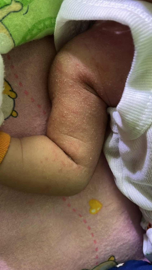 Bayi NewBorn