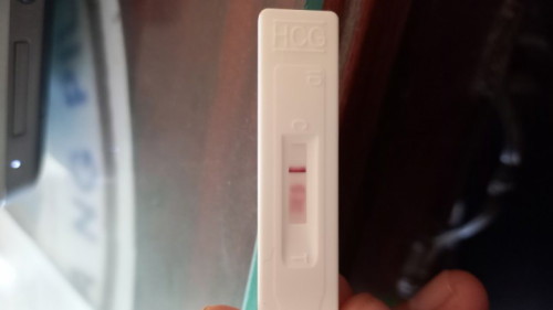 Pregnacy Test