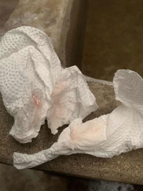 เบบนี้คืออะไรคะ…