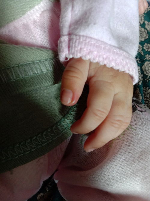 Kuku bayi centengan/hileudeun(bhs.sunda)