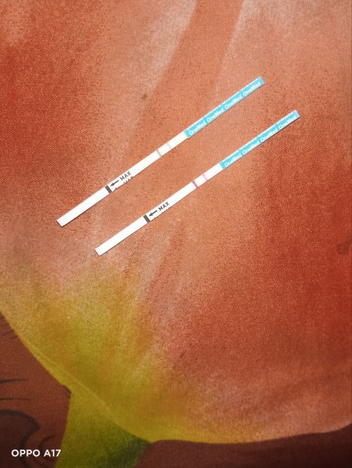 Hallo bund, maaf mau tanya hpht tgl 5 nov 2024 tapi kok saya tespek hasilnya garis 2 itu valid atau