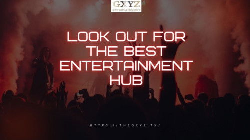 Look Out For The Best Entertainment Hub