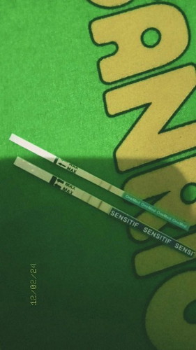 bunda² mau tanya dong kalau kaya gini udah fiks positif hamil kah?